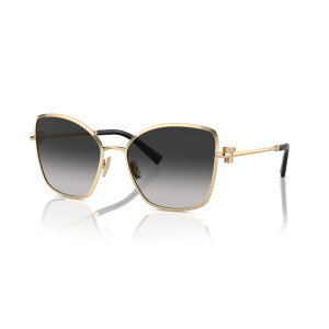 TIFFANY TF 3102B 6021/3C